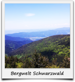 Bergwelt Schwarzwald