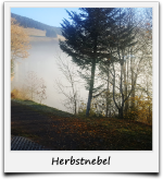 Herbstnebel Schwarzwald