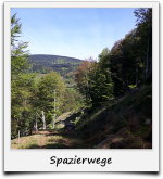 Spazierwege Schwarzwald