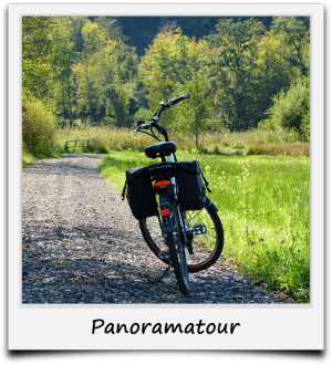 Panoramatour mit E-Bike durch Schwarzwald